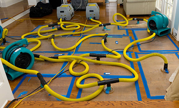 Professional Sewage Cleanup technician working in Calhan, CO